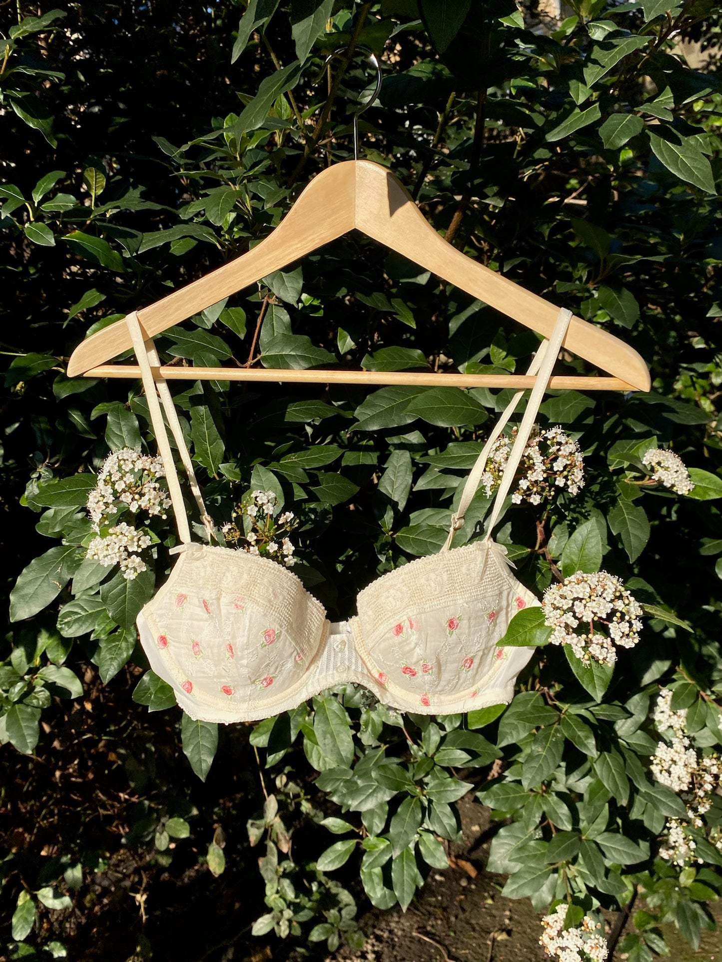 Christian Dior Rose Bud Embroidered Bra